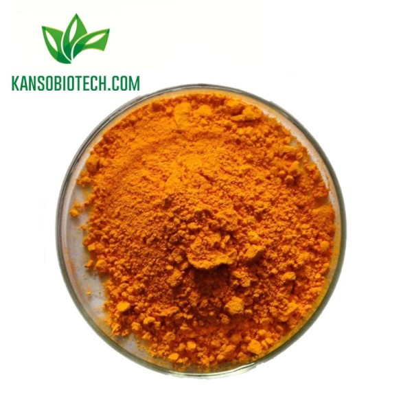 Buy Turmeric Root Extract (Curcumin) for sale online