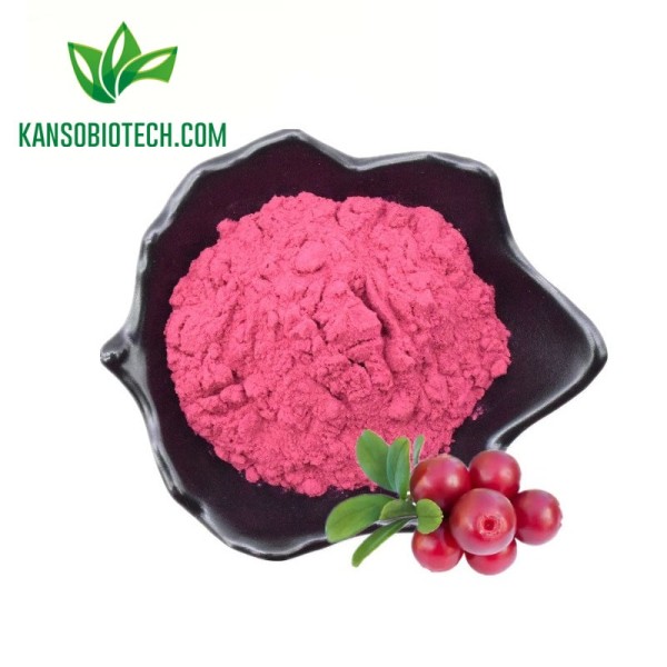 Buy Cranberry Extract Powder for sale online