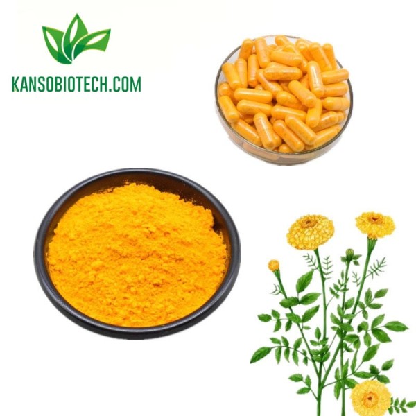 Buy Marigold Extract Powder for sale online