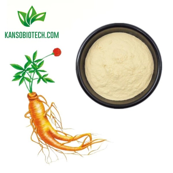 Buy Ginseng Extract Powder for sale online