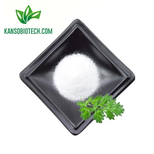 Buy Artemisia Annua Extract for sale online