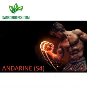 Andarine (S4)
