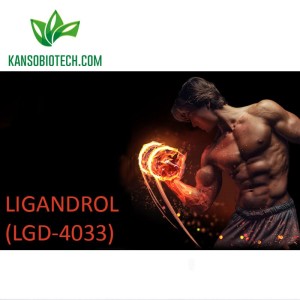 Ligandrol (LGD-4033) 