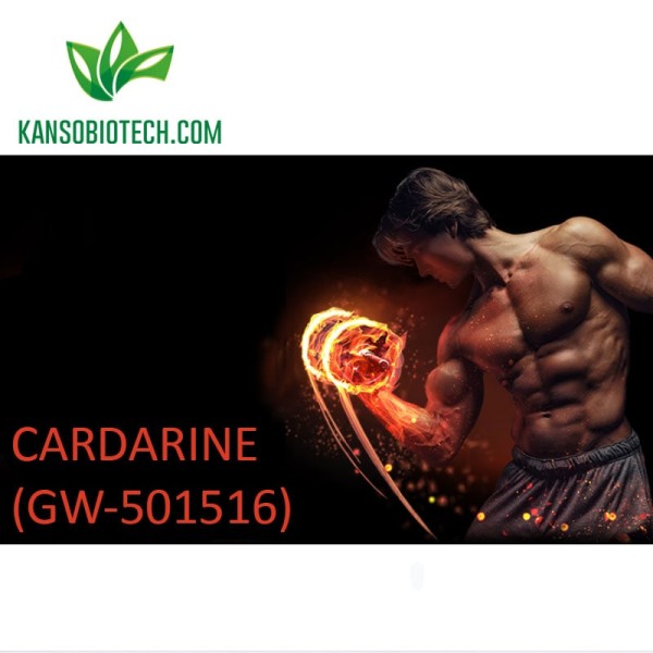 Buy Cardarine (GW-501516) for sale online
