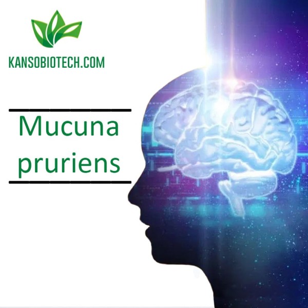 Buy Mucuna pruriens for sale online