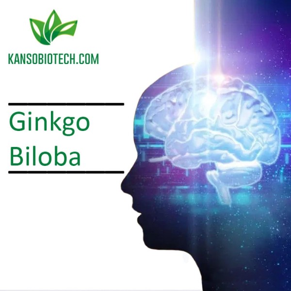 Buy Ginkgo Biloba for sale online