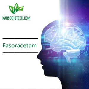 Fasoracetam