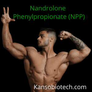 Nandrolone Phenylpropionate (NPP)