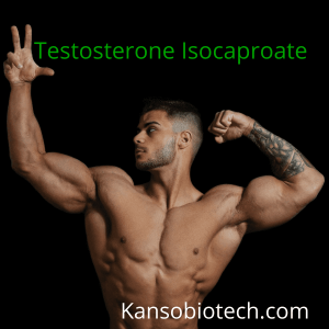 Testosterone Isocaproate Powder