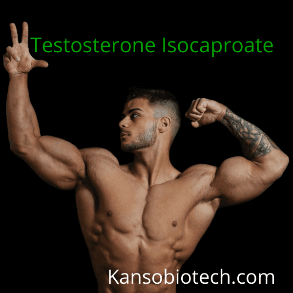 Buy Testosterone Isocaproate Powder for sale online
